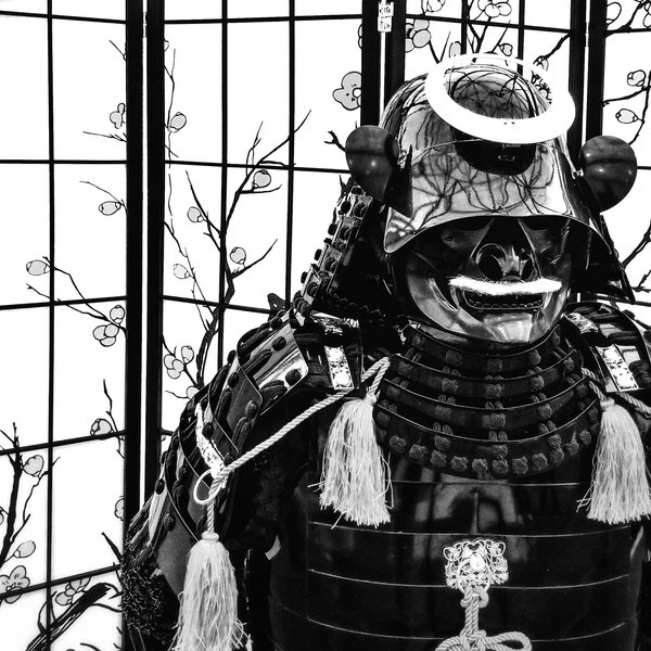 Quels sont les exercices de force explosive pour les jambes à incorporer pour un pivot en basket ?